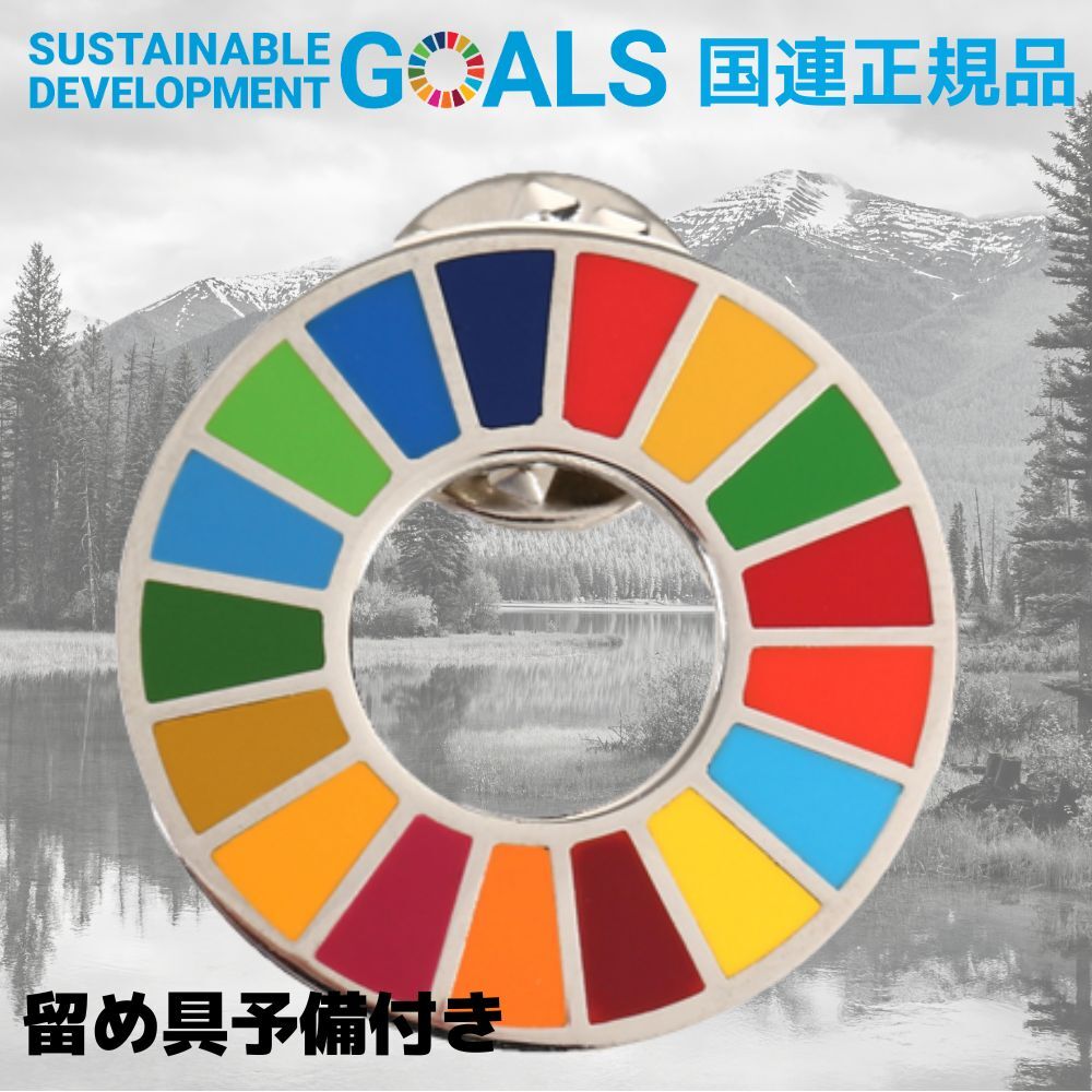 SDGs ピンバッジ 25mm サイズ 平ら仕上げ 国連ガイドライン対応 ゴールドフレーム シルバーフレーム UNDP 襟章 バッヂ 七宝焼 予備留め具付き 2個セット