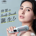 Scalp Brush Premium WAVEWAVE-011PRE 電気ブラシ オイルタンク付 頭皮 頭筋 ブラシ スカルプケアブラシ デンキ ブラシ 電気ブラシ EMS 頭皮ケア フェイスケア リフトケア RF LED光エステ スカルプ 美容器 フェイス 低周波 リフトアップ 顔筋 フェイシャル