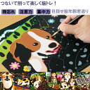 楽しく脳トレ スクラッチアート 犬猫編削る つなぐ 絵描き アート スクラッチ 脳トレ 物忘れ ストレス 解消 集中力 注意力 活性化 作品 行事
