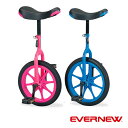 エバニュー　EVERNEW　一輪車（ノーパンク）20　EKD138