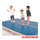 受注生産品 エバニュー EVERNEW エアートラックマット300 ETE211