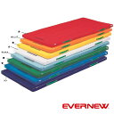 受注生産品 エバニュー EVERNEW カラーペットマット120×300×5 EKM043