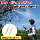 【当店限定特典付】電動のこぎり コードレス 12V 軽量 2way 高枝切りバサミ電動ノコギリ 高枝切り電動チェーンソー …