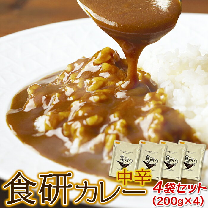 【ゆうパケット出荷】20種類以上のスパイス使用！美味しいレトルト食研カレー4食（200g×4袋） 1