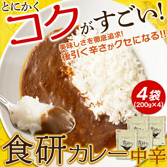 【ゆうパケット出荷】20種類以上のスパイス使用！美味しいレトルト食研カレー4食（200g×4袋） 3