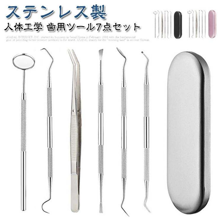 歯石除去 プロ仕様 歯石 スケーラー ヤニとり 先極細 口腔ケア器具 自宅用 6点セット 口腔清潔 歯石取り ステンレス製 歯石取り