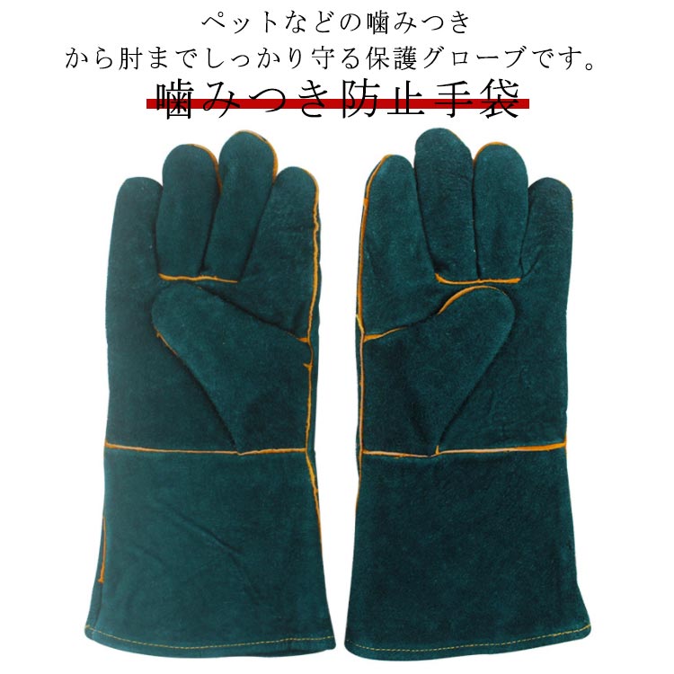 保 厚手 かみつき防止 牛革 爬虫類用 爪切り 猫 犬 引っ掻き 手袋 防止 噛みつき ...