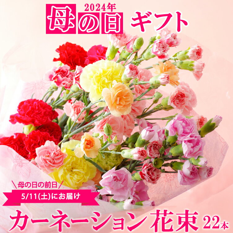 カーネーション 花束 母の日ギフト 2024年5月11日お届け 鮮度が自慢 佐世保 産地直送 切り花 22本 花農家直送 母の日 プレゼント ギフト 花束 生花 切花 西九州させぼ地域商社のサムネイル