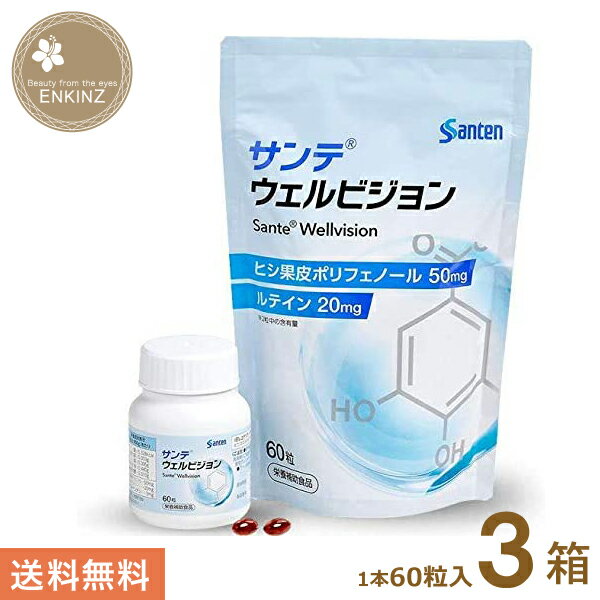 サンテウェルビジョン 60粒入り3本 参天製薬 (1日2粒/