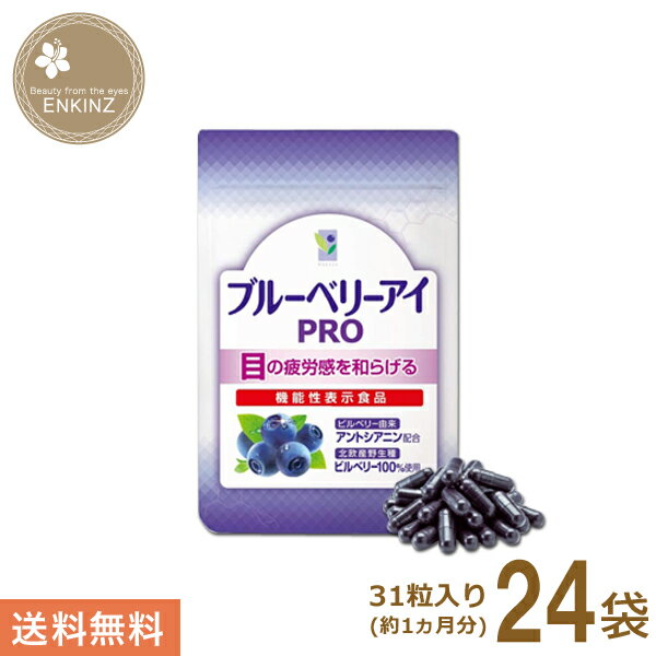 わかさ生活 ブルーベリーアイPRO 24袋セット（1袋31粒入り） 約24ヵ月分 サプリメント ビルベリー ルテイン アントシアニン サプリ 機能性表示食品