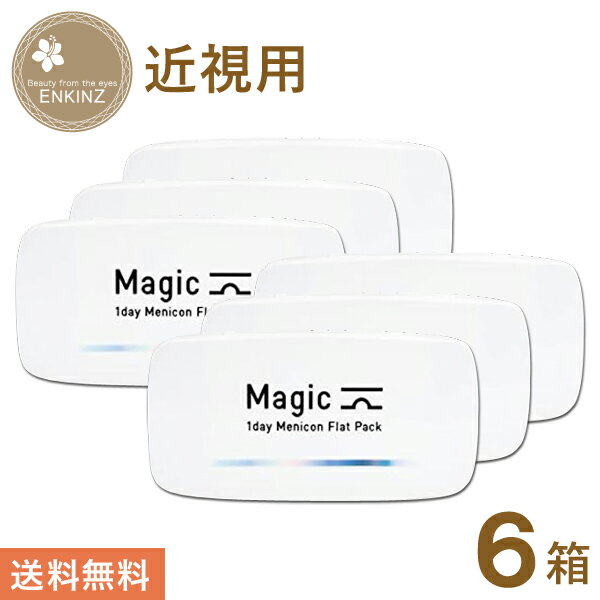 マジック(Magic) メニコン 1DAY フラットパック ワンデー 30枚×6箱 メニコン MENICON 送料無料 ポスト投函商品