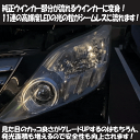 enlarge:10001124のサンプル画像3