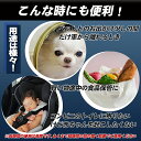 enlarge:10001487のサンプル画像3
