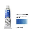 ホルベイン 油絵具 9号 40mlアクアオイルカラー デュオ(DUO) DU280セルリアンブルー