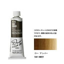 ホルベイン 油絵具 9号 40mlアクアオイルカラー デュオ(DUO) DU315ローアンバー