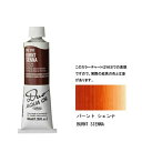ホルベイン 油絵具 9号 40mlアクアオイルカラー デュオ(DUO) DU318バーントシェンナ