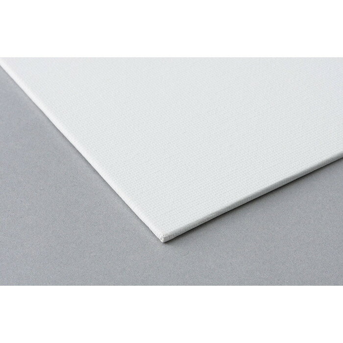 ホルベイン　ボールドキャンバス　F6　(ACキャンバス包貼り)油彩・アクリル用　油絵 アクリル画