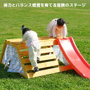 大型遊具 屋外遊具 ジャングルジム 滑り台 室外内 木製 天然木 耐荷重100KG 室内ジム 遊具 スギ材 すべり台 家庭用 子供 キッズ 男の子 女の子 コンパクト 3歳~8歳