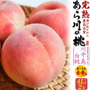 【のし対応・領収書発行可】あら川の桃 川中島白桃 荒川の桃 あらかわの桃 荒川桃 お供え 供物 お中元 御中元 おすすめ 贈り物 暑中 見舞 贈り物 プレゼント...