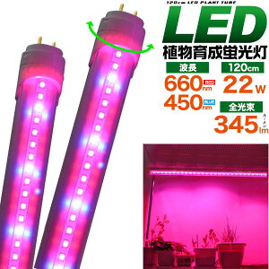 領収書発行可 植物育成 LED蛍光灯 120cm G13 22W 345lm アクアリウム 水槽 海藻 水草 野菜 室内 温室 植物 led 植物育成ライト 植物ライト 植物育成 植物用ledライト 植物照明 観葉植物ledライト led光合成 光合成 植物が育つライト 植物工場 野菜 インテリア おしゃれ 人気