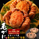 【領収書発行可 約500〜550g×2杯 合計約1kg〜1.1kg】 毛ガニ 毛がに けがに 贈り物 ギフト お祝い かに けがに 毛蟹 毛がに 毛かに お歳暮...