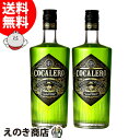 10日(金)限定！店内全品P4倍【送料無料】コカレロ COCALERO 700ml×2本 リキュール ...