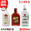 5月1日(水)限定最大1000円OFF選べるクーポン【送料無料】製菓用 洋酒 お菓子 作り ブランデー ラム シュペヒト キルシュヴァッサーオードヴィーベビー ＆マイヤーズラム オリジナルダーク＆バカルディ スペリオール 各1本 3本セット 200ml 40度 S 箱なし