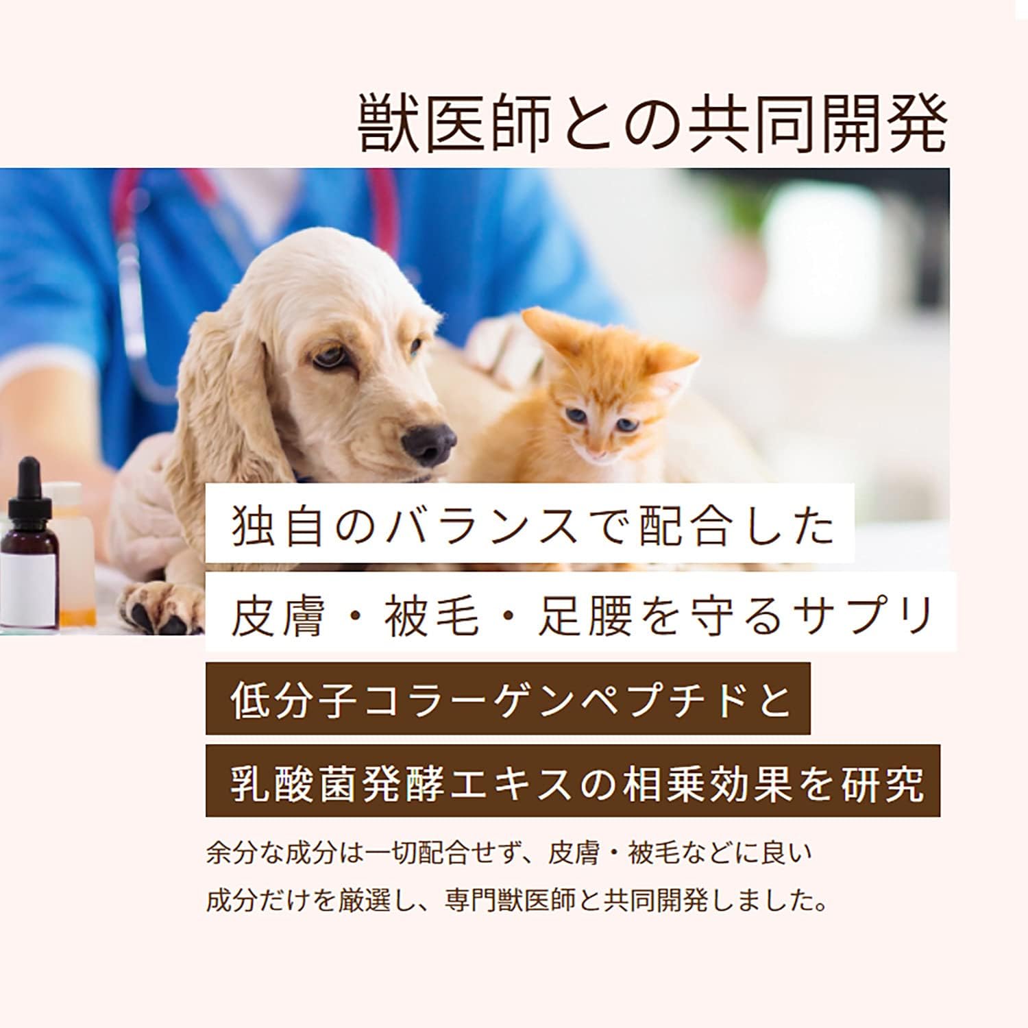 PREMEAL スキンコート 83g 皮膚被毛に 獣医師と共同開発 正規品 シニア 老犬 高齢 犬 猫 セール PREMEAL 300粒 60粒 オーラバイオ OraBio コラーゲン ペプチド 乳酸菌発酵 皮膚 被毛 足腰 enone-store-10000267 犬の自然派食料品店 エノネ サンプル画像3