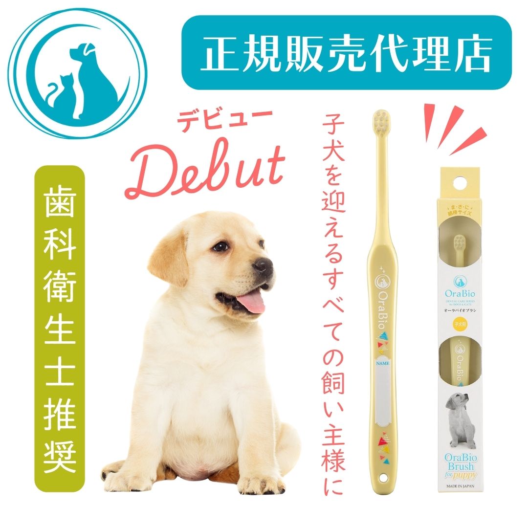 犬 歯磨き オーラバイオブラシ 子犬用 オーラバイオ ペースト OraBio オーラバイオブラシ 犬 歯磨き 歯..