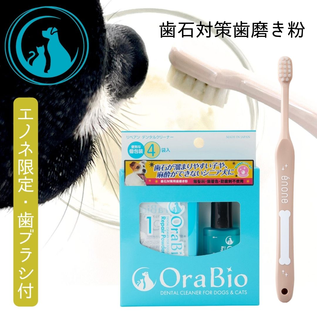 リペアン デンタルクリーナー 4回分入 歯石対策歯磨き粉 犬 猫 ペット用 歯みがき 歯磨き剤 50g デンタルケア オーラルケア 歯周病 歯石 口臭 予防 犬 歯磨き 歯磨き粉 デンタルケア 猫 歯 ペット用品 オーラバイオ OraBio RepairAn BYRON 犬の自然派食料品店エノネ