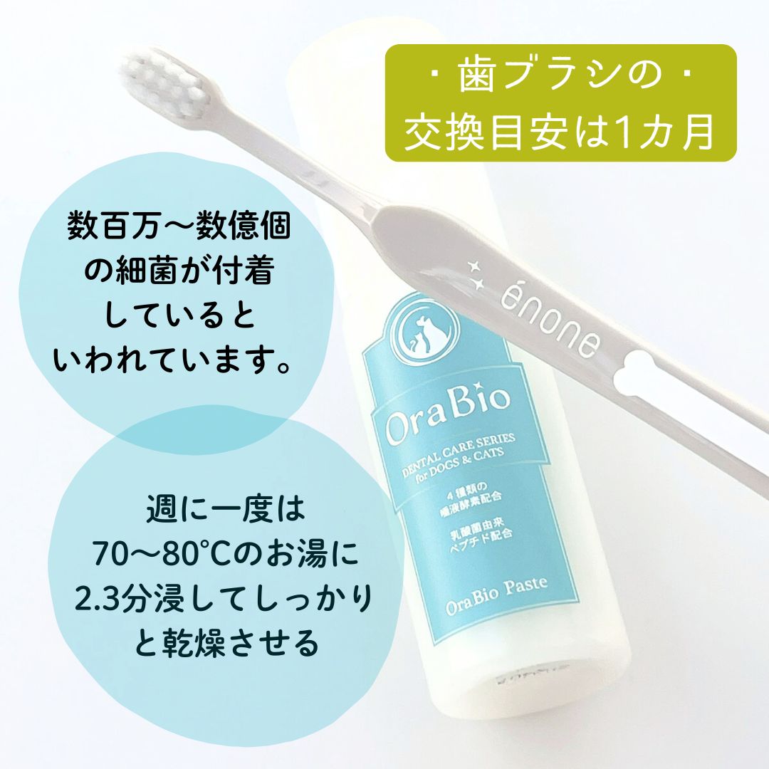 �� ���᤭ ���֥饷 ���Υ͸��� OraBio ������Х��� �֥饷 ���� ��ǭ �ϥ֥饷 ���Υ� ������Х��� ���Τ褦�˽��餫�� ��������Ψ��⤤ ͥ�������֥饷 ���� ���� ���ߤ��� ���μ����ɿ�����Ź���Υ�