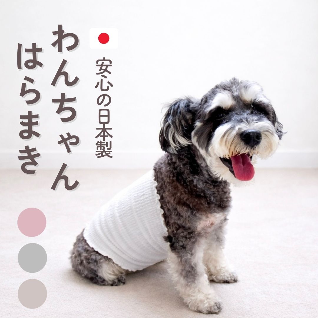 わんちゃん はらまき 腹巻き 温活 冷房対策 フリーサイズ 5-30キログラム 日本製 enone エノネ