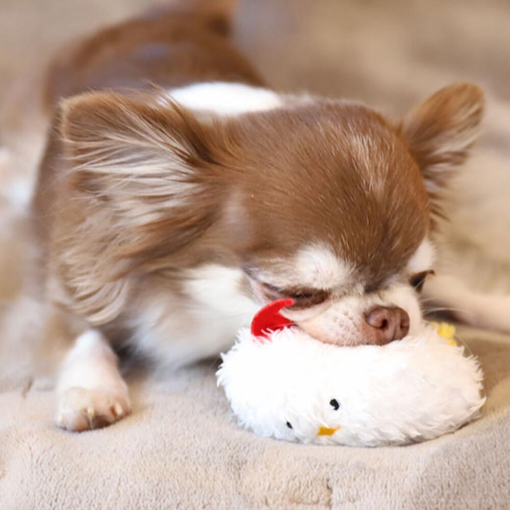 Rakuten - 犬 おもちゃiDog アイドッグ のびのびなっとう 鈴とカシャカシャ音と鳴き笛入り にわとり 鳴き笛入り 布製 ぬいぐるみ ドッグトイ 犬のおもちゃ 玩具 笛入り 音 鈴 カシャカシャ 超小型犬 小型犬 犬用 ペットおもちゃ わんこ 犬の自然派食料品店エノネ