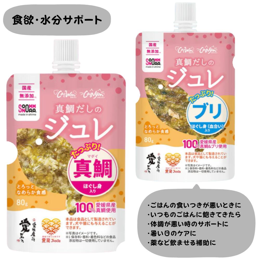 乐天商城 - 犬 猫 ジュレ ごはん トッピング おやつ 真鯛 ブリ スープ わんこのごはん フード ドッグフード 犬猫 ペット用 魚 国産 無添加 雑炊 食べない 食いつき 食べやすい 成犬 老犬 老猫 80g 140g 犬の自然派食料品店エノネ