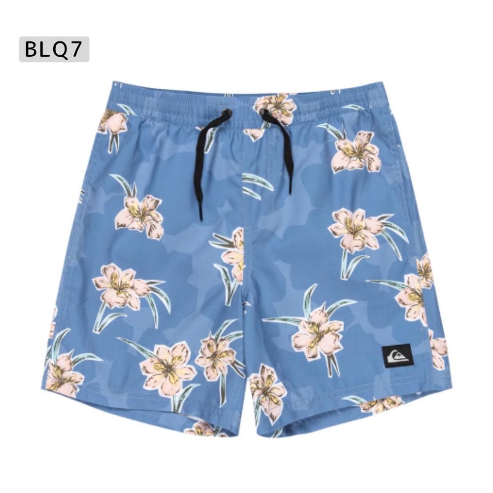 QUIKSILVER（クイックシルバー）EVERYDAY STRAIGHT VL YTH14 キッズ 2025春夏モデル ボードショーツ KBS251001