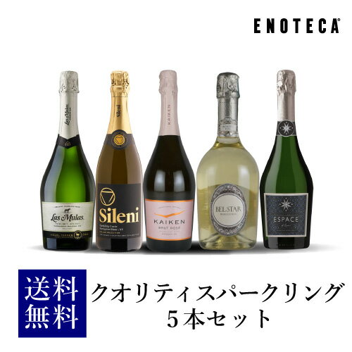 【500円OFFクーポンで735円/1本 送料無料】ワインセット シャンパン製法&金賞入り 辛口泡だけ 特選 スパークリングワイン 12本+2本セット 113弾 ワイン 飲み比べセット 母の日 RSL あす楽