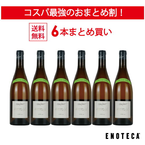 ＜30%OFF＆送料無料！＞【6本おまとめ買い】ソーヴィニヨン・ブラン・アティテュード / パスカル・ジョリヴェ フランス ロワール [750ml x 6]