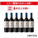 ＜30％OFF＆送料無料！＞【6本おまと