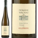白ワイン 2021年 グリューナー・ヴェルトリーナー スマラクト・リード・ケラーベルク 0 オーストリア ニーダーエスタライヒ 750ml ワイン