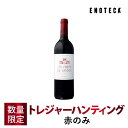 ブラック ゴリラ 750ml 15°/赤ワイン フランスワイン 南仏 ドメーヌ ギナーン フルボディ