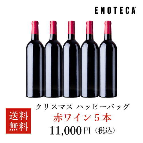 【送料無料】エノテカ ワインセット 最大35%OFF！クリスマスハッピーバッグ A（赤ワインのみ5本） [750ml x 5] ワイン 飲み比べのサムネイル