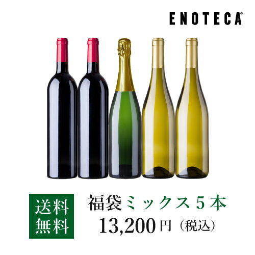 【送料無料】エノテカ ワインセット 当たりが出たら48%OFF！新春福袋 B（ミックス5本） [750ml x 5] ワイン 飲み比べ