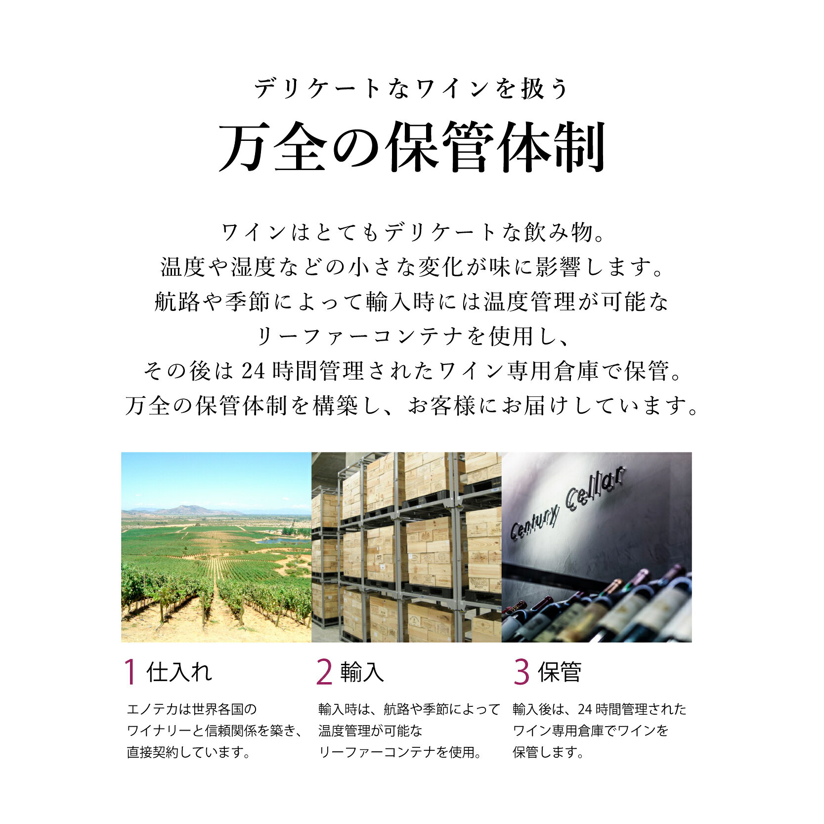 【エノテカ公式直営】白ワイン 2022年 ブルゴーニュ・ピノ・ブラン / ドメーヌ・レシュノー フランス ブルゴーニュ 750ml enoteca-10037954 ワイン通販 エノテカ楽天市場店 サンプル画像3