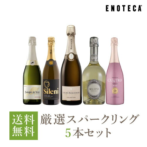 【送料無料】ワイン ワインセット 豪華シャンパーニュ入り！厳選スパークリング5本セット US3-1 [750ml x 5]【AM9時迄最短当日出荷】