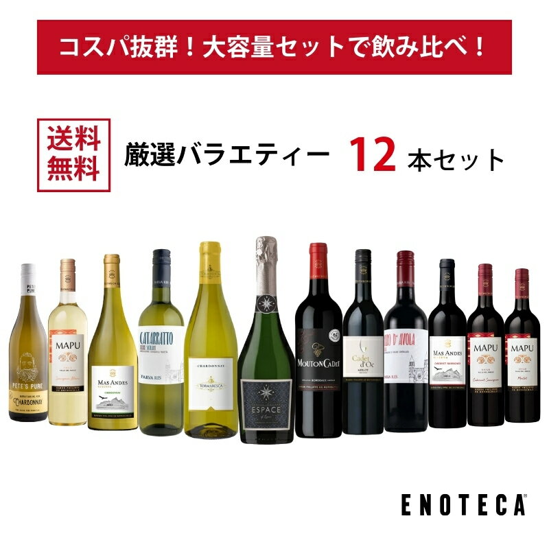 商品写真：大容量ミックス12本！ エノテカ売れ筋！厳選バラエティー12本セット RP10-1 [750mlx12] (赤・白・泡 12本) ENOTECA ミックス MIX ワインセット ハイコスパワイン 送料無料