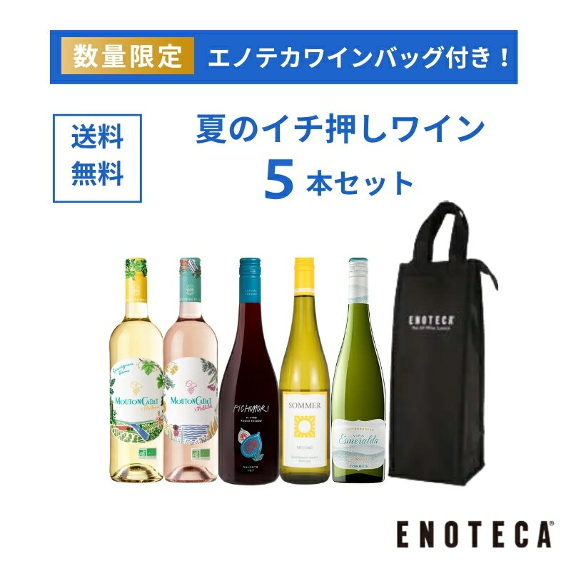 【送料無料】エノテカ ワインセット ワインバッグ付き！夏のイチ押しワイン5本セット SW8-1 [750ml×5] ワイン 飲み比べ