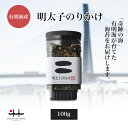 明太子のりかけ 100g 【海苔 初摘み 有明海 ふりかけ 明太子 お歳暮 お中元 プレゼント 有明海苔 おいしい海苔 一番摘み】