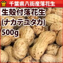 落花生 ピーナッツ の種まきと収穫をしました 初心者でも簡単に栽培ができます ぷく多肉 もこ生物 可愛い植物とぬいぐるみ 落花生 ピーナッツ の種まきと収穫をしました 初心者でも簡単に栽培ができます ぷく多肉 もこ生物 可愛い植物とぬいぐるみ