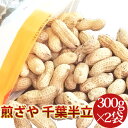 2025年度産 新豆 【煎ざや・千葉半立300g2袋セット】千葉県八街産落花生