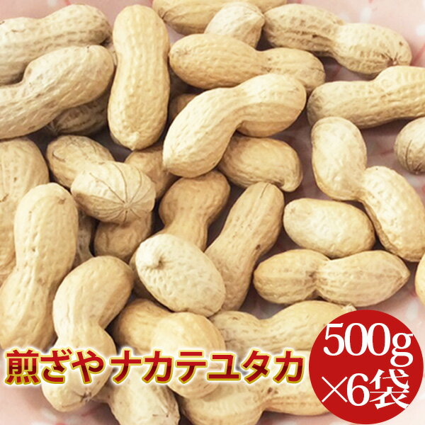 2023年度産 新豆 煎ざや(ナカテユタカ)3kg【500g×6袋】送料無料 千葉県八街産落花生【週間落花生ランキング1位25回商品】